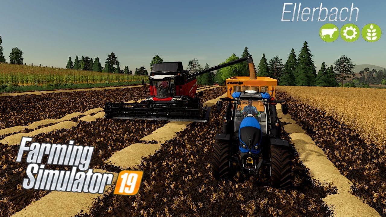 Harvesting wheat and barley on Ellerbcah