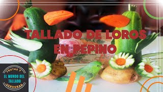 TALLADO/Loros en pepino