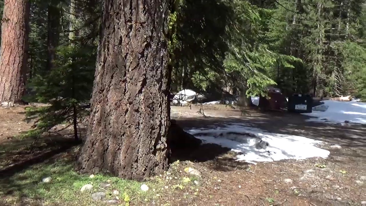 Lodgepole Picnic Area Sequoia National Park YouTube
