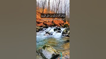 #المنشاوي ولقد خلقنا الإنسان ونعلم ما توسوس به نفسه ونحن اقرب اليه من حبل الوريد #سورة_ق #minshawi