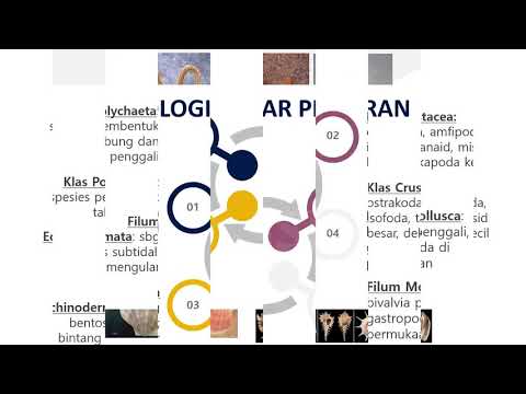 Video: Gen T4 Di Ekosistem Laut: Studi Tentang Sianofag Mirip T4 Dan Perannya Dalam Ekologi Laut