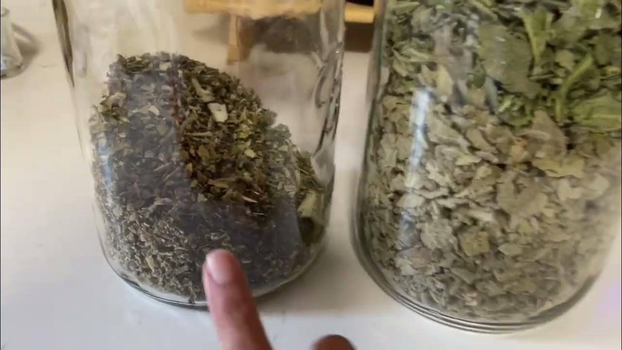 Fastest way to dry Mullein Leaves YouTube