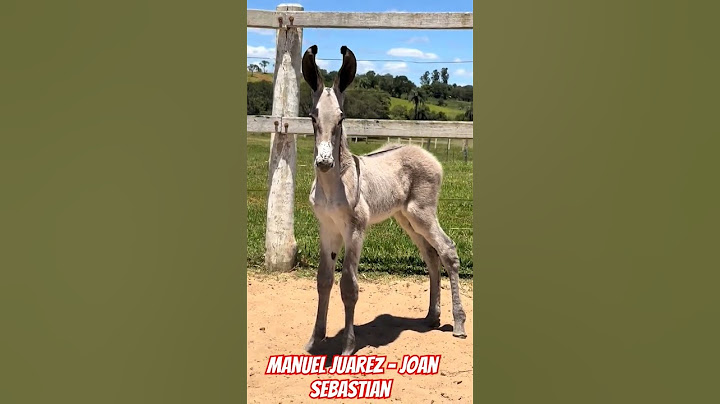 Manuel Juarez - Joan Sebastian