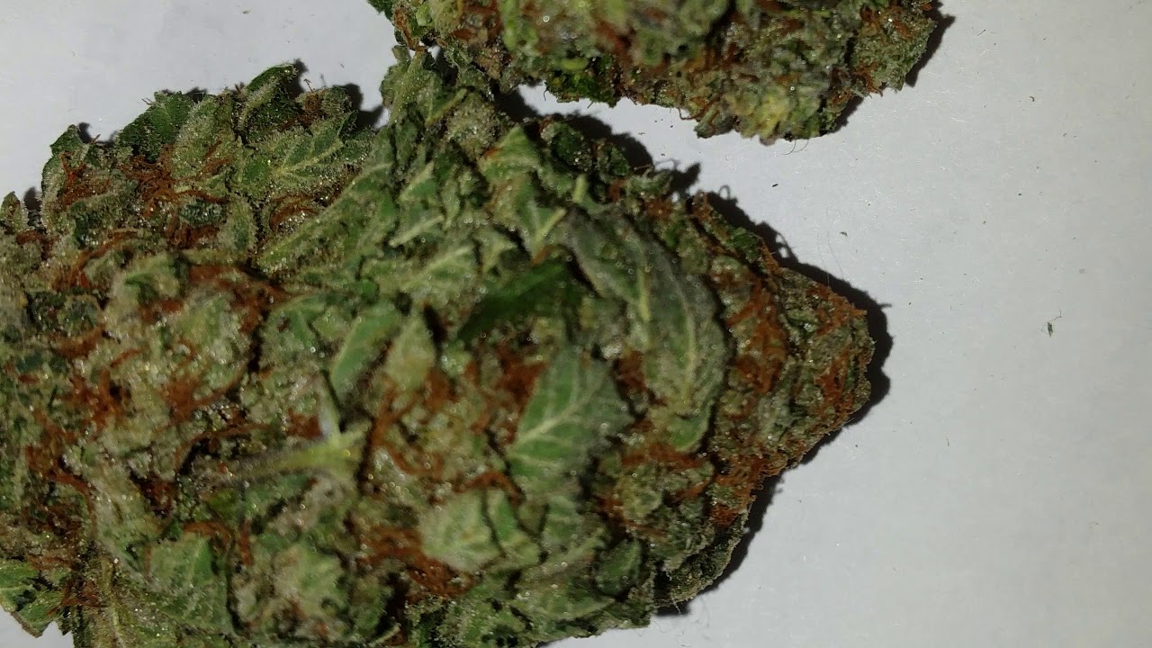 Guava dawg cannabis strain (super dense)