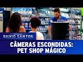 Pet Shop Mágico - Magic Pet Prank | Câmeras Escondidas (19/11/17)