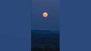 Worth all of the bug bites in the world. #shorts #supermoon #moonrise