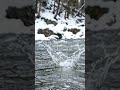 These foil boards are insane #hydrofoilsurfing #wakesurf #jetbike