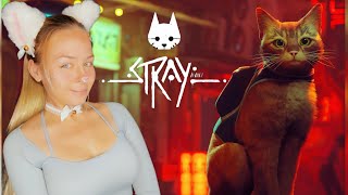 картинка: Stray | стрим 2