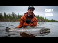 Catching my first salmon and its a giant  fly fishing baltic salmon