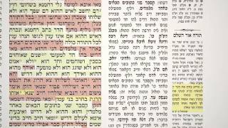 מסכת קידושין דף מ"ג 43
