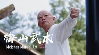 Meishan martial art | 梅山武术：桩稳势固，文武兼修 screenshot 5