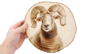 Mountain Goat on Tree Slice Engraving @TrotecLaser