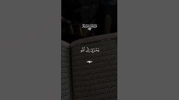 #قران #فارس_عباد  #quran #قران_كريم #تلاوة_خاشعة
