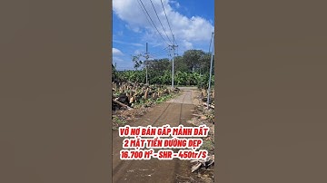 VỠ NỢ BÁN GẤP MẢNH ĐẤT LÀM VƯỜN CÓ SHR ,2 MẶT TIỀN ĐƯỜNG, 16700m² #nhà #batdongsan #tintuc