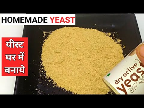 यीस्ट बनाये घर में आसानी से |homemade yeast|yeast recipe|how to make yeast at home