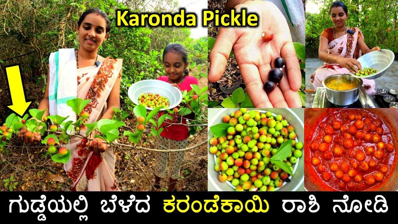 ಇದರ ರುಚಿನೇ ಬೇರೆ | ಗುಡ್ಡೆಯಲ್ಲಿ ಬೆಳೆದ ಕರಂಡೆಕಾಯಿ ಉಪ್ಪಡ್ | Karande kai | Instant karonda pickle recipe