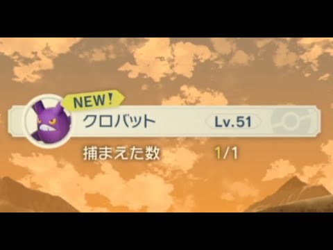 ポケモンアルセウス 飛んでいる クロバット 捕獲 攻略 Pokemonlegends Part38 Youtube