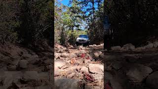 some trail therapy #jeepzj #offroading #fyp #duckduckjeep #nature @JosieGarfunkle