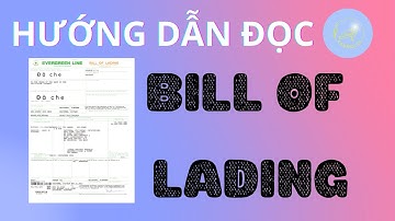 VẬN ĐƠN ĐƯỜNG BIỂN | BILL OF LADING Mục quan trọng + Giải thích.