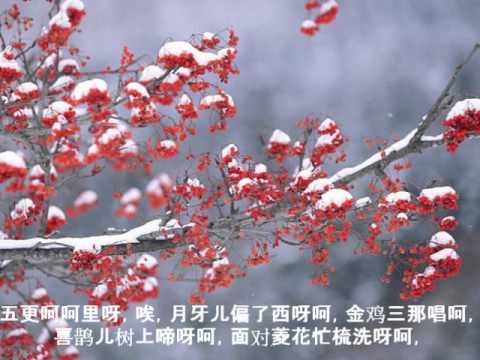 《探情郎》 东北民歌、女声合唱