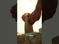 Ancient Pyramids: A Shocking Egyptian Comparison! #shorts