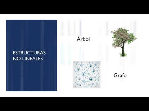 Vídeo: Diferencia Entre Estructuras De Datos Lineales Y No Lineales