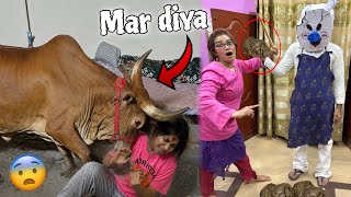 Rod the killer ki choti cow ka 😡 anamta ko mara￼😱
