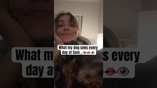 How My Cat And I Wake Up Our Dog Every Morning At 5