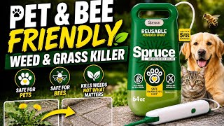 Spruce Weed & Grass Killer Review – Pet & Bee Friendly… But Does It Work?