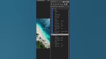 How to Change the PPI for Images Using RawTherapee: Accurately Set Your Desired PPI