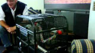Download Lagu Bird S Swear MP3 Bird S Swear