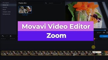 How To Zoom In & Zoom Out - Movavi Video Editor Plus 2020  #25
