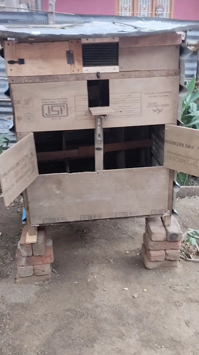 🕊️புறா கூண்டு🔨🚪 #செய்வது_எப்படி #pigeons #birds #farm #pura #shorts