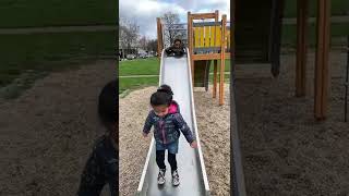 IMG 2606