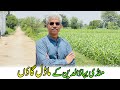 Model villages of mandi bahauddin  amin hafeez