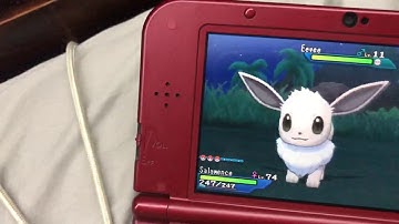 SHINY EEVEE #5 – 243 SOS Encounters in Pokémon Ultra Sun