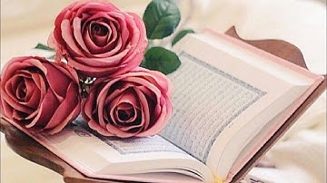 سورة الماعون | تلاوة خاشعة قصيرة ومؤثرة | قرآن كريم