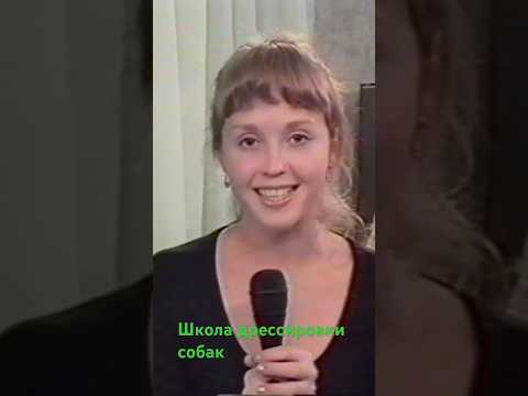 Начало осени, школа дрессировки собак #юмор #киноактеры #кино #собаки#воспитайсебе друга