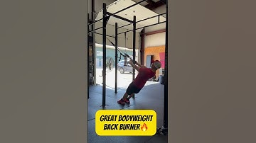 TRX Rows = Bodyweight Back Builder #trx #trxworkout #bodyweightworkout #homeexercise