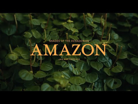 Shades of the Ecuadorian Amazon | Napo-Tena, Ecuador Cinematic Travel Film | Shot on BMPCC 6K Pro