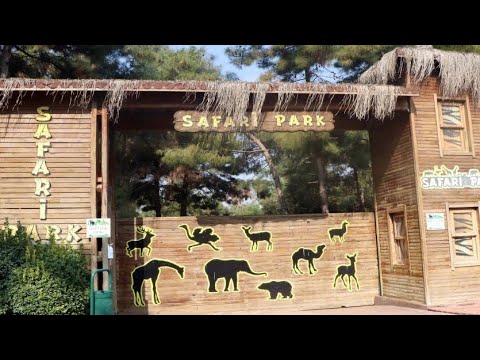 Video: Tennessee Safari Parkı: Bir Ziyaretçi Rehberi