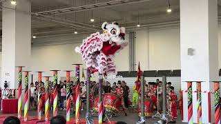 Details [4K] 新加坡騰與 Teng Heng @ 2026 Antica Cup 新马高桩争霸赛 Acrobatic Lion Dance Comp 22 Aug 2026 News