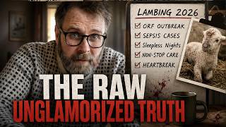 Almost Our Entire Flock Got Sick... | The Hard Reality of Lambing 2026