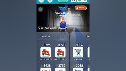 Machamp 1v1 with Mewtwo (Windy Boost)