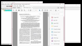 Notebook View - Sesame LIMS
