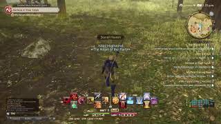 Final Fantasy Xiv - Online #1