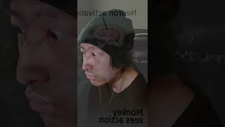 Neurons Activated...