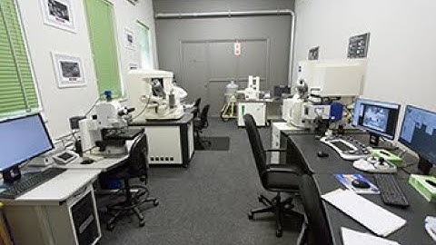 Introduction to Biological Sample Preparation for SEM
