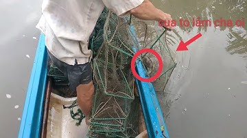 Cùng cha đi thâm lú 12 cửa ngục, dính tôm, cua cá, các loại I @sang gồm