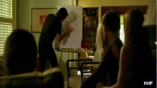 It Is A Wolve Tvd Humor